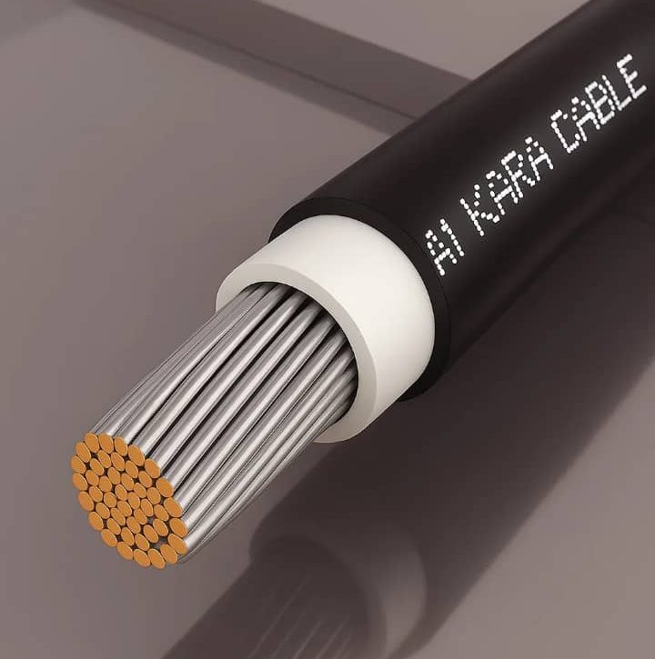 WhatsApp Image 2025-08-15 at 03.39.15